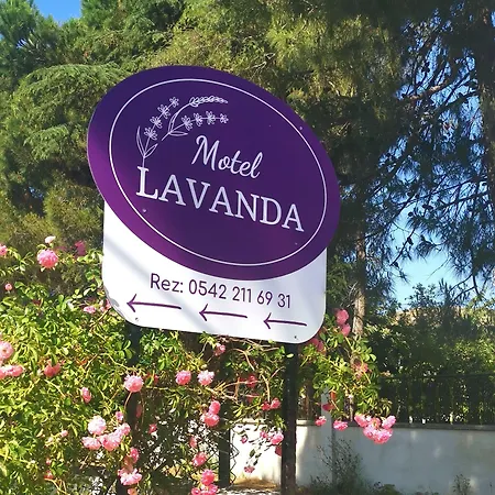 Lägenhetshotell Lavanda