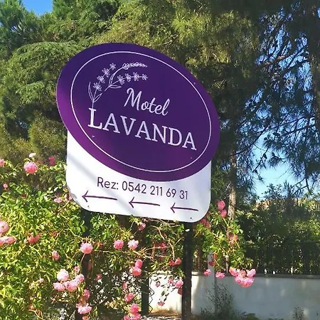 Lavanda Avsa Adasi